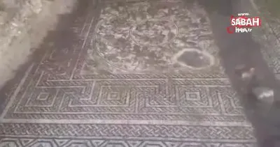Suriye’de 4. yüzyıldan kaldığı tahmin edilen mozaik bulundu | Video