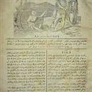 Tarihte bugün 24 Kasım