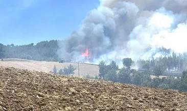 Kütahya'daki yangında 60 hektar ormanlık ve 50 hektar tarım alanı zarar gördü #kutahya