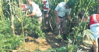 Teröre darbe üzerine darbe