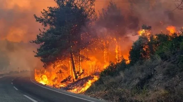Yangın Güvenliği Önlemleri