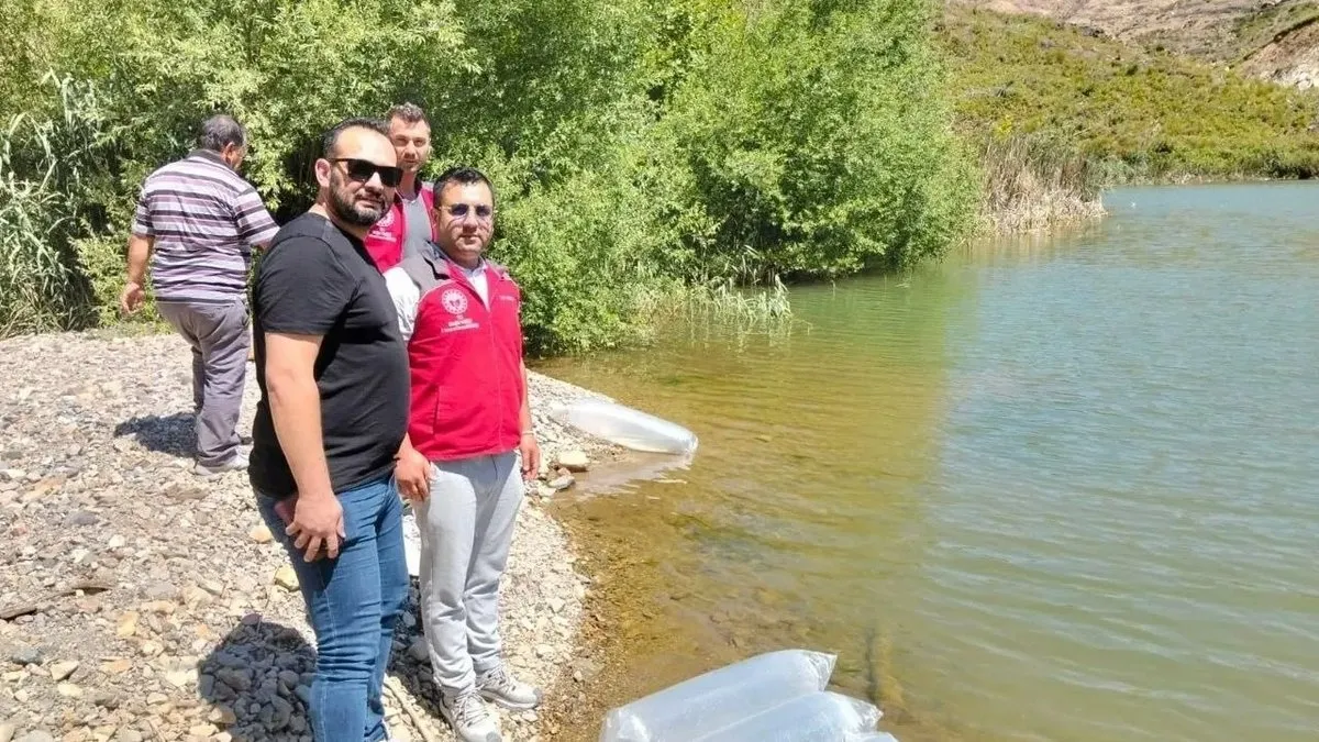 Kozağaç Baraj Gölü’ne 40 bin sazan yavrusu bırakıldı