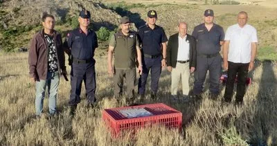 Kırşehir’de kene ile mücadele için doğaya 600 keklik bırakıldı #kirsehir