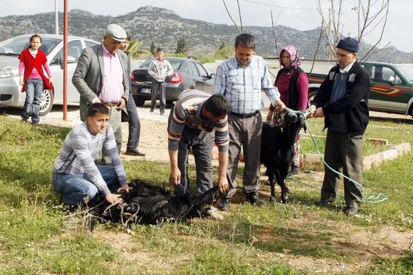 Çift kol nakli yapılan Atilla Kavdır evine döndü