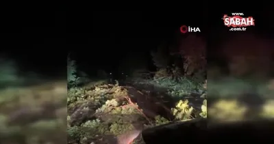 ABD’de şiddetli fırtına: 5 ölü | Video