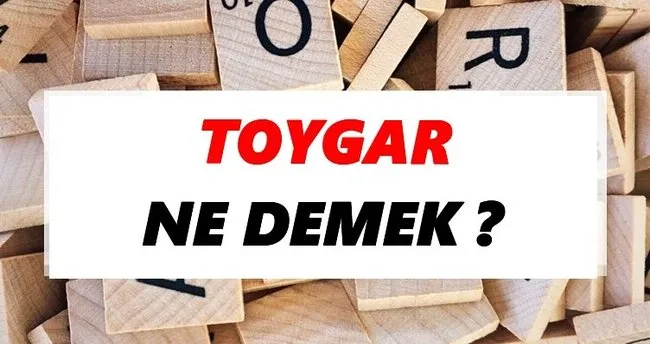 Toygar Ne Demek? TDK’ya Göre Toygar Sözlük Anlamı Nedir?