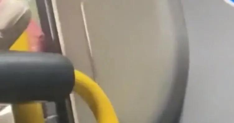 Otobüste Çarşafın bana değmesin, tiksiniyorum diyen kadına yolculardan tepki: Çıplak görünce sesiniz çıkmıyor