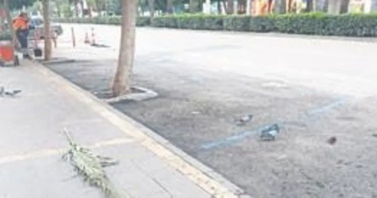 Melih ABİ: Palmiye dalları ile sokaklar temizlenmez