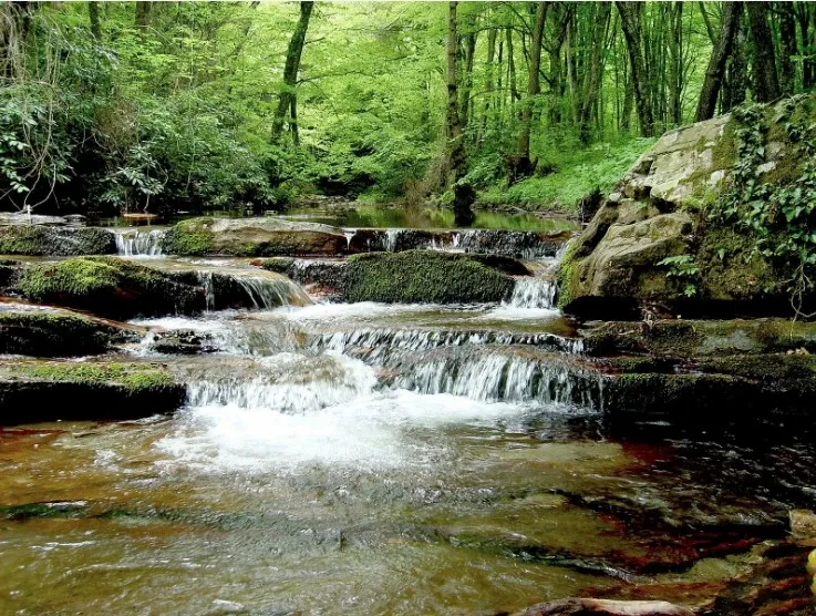Samsun'un Yakakent ilçesi dünyanın sakin şehirleri listelerine aday oldu
