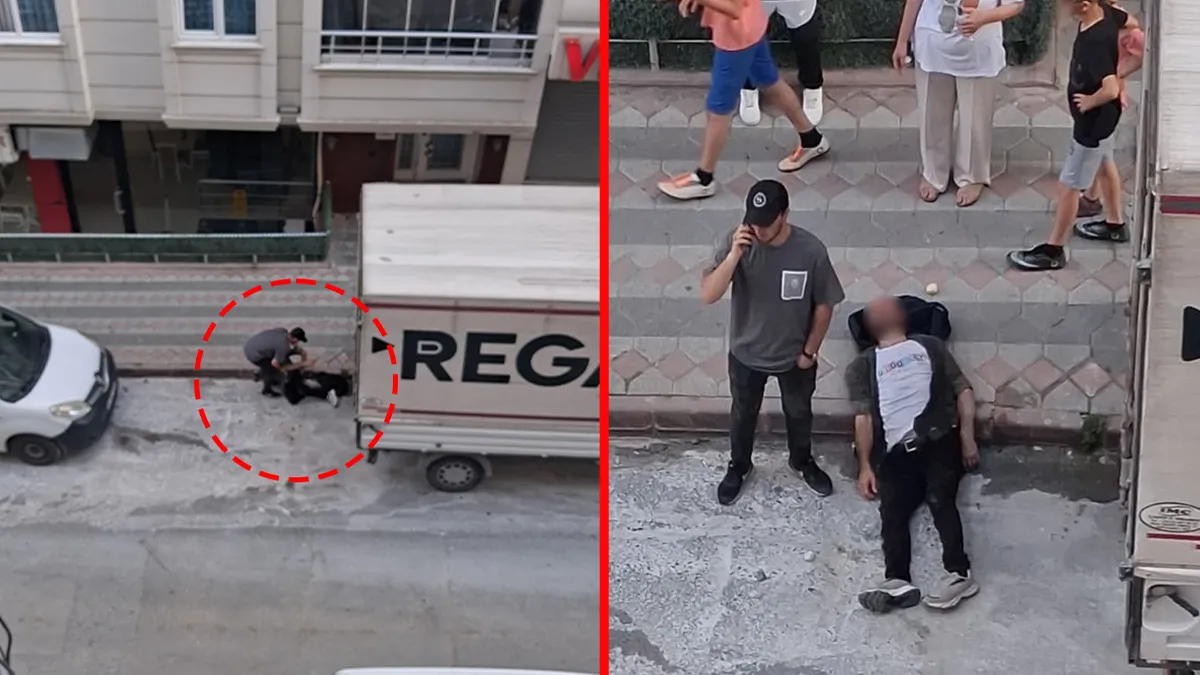 Arnavutköy’de akılalmaz anlar! Alkollü şahıs dehşet saçtı: Kafasını defalarca kez metal kasaya vurup… Arnavutköy’de akılalmaz anlar! Alkollü şahıs dehşet saçtı: Kafasını defalarca kez metal kasaya vurup…