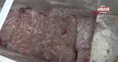 Elazığ’da, depoda 800 kilo bozuk et ele geçirildi | Video
