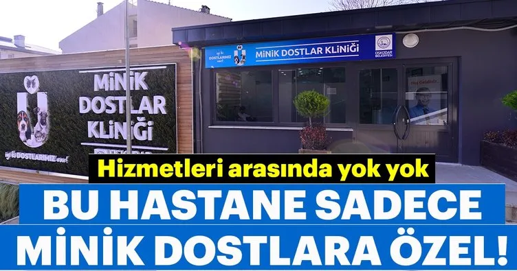 Bu Hastane Sadece Minik Dostlara Ozel Sayfa 5 En Son Haber