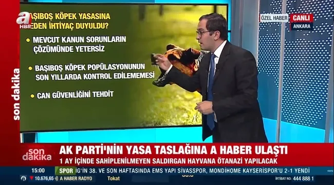 ak-partinin-sokak-hayvanlarina-yonelik-yasa-taslaginda-neler-var-iste-detaylar-1716728586121.jpg AK Parti’nin sokak hayvanları yasası taslağında neler var? İşte detaylar!