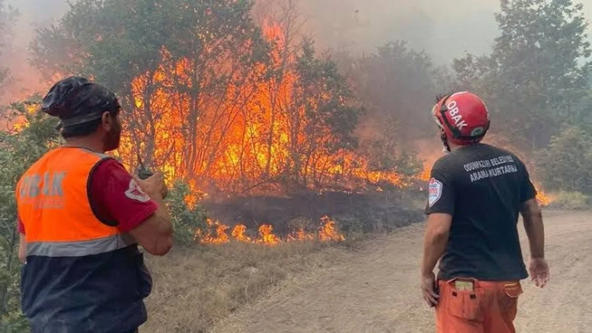 10 kişinin şehit olduğu orman yangınına soruşturma 10 kişinin şehit olduğu orman yangınına soruşturma