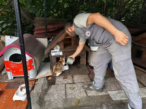 sokak-hayvanlarina-ilce-belediyelerden-destek-1-yilda-10-bin-sokak-hayvani-rehabilite-edildi-1745069991463.jpg