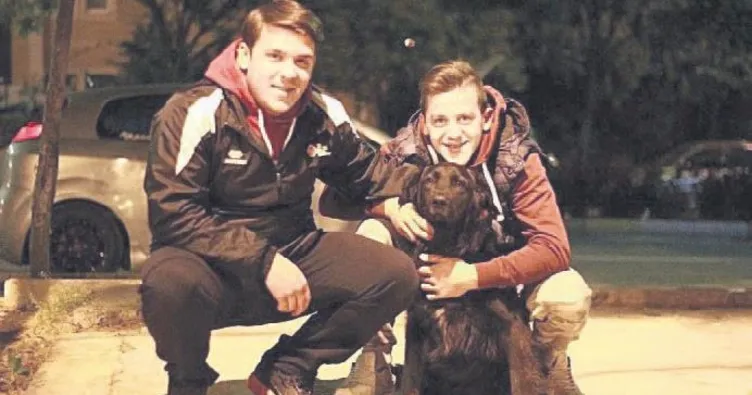 Ares için seferberlik