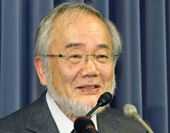 Nobel Tıp Ödülü’nü alan Yoshinori Ohsumi kimdir?