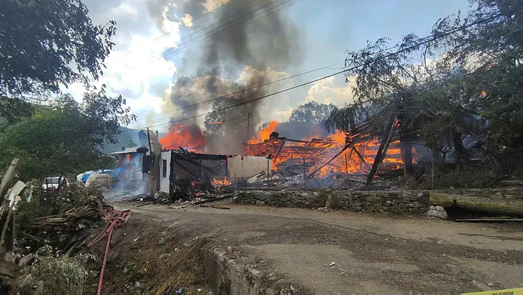 SON DAKİKA: Kastamonu'da bir köy alevlere teslim oldu