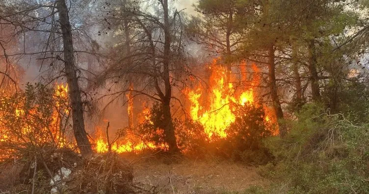 Çanakkale’deki orman yangını kontrol altına alındı