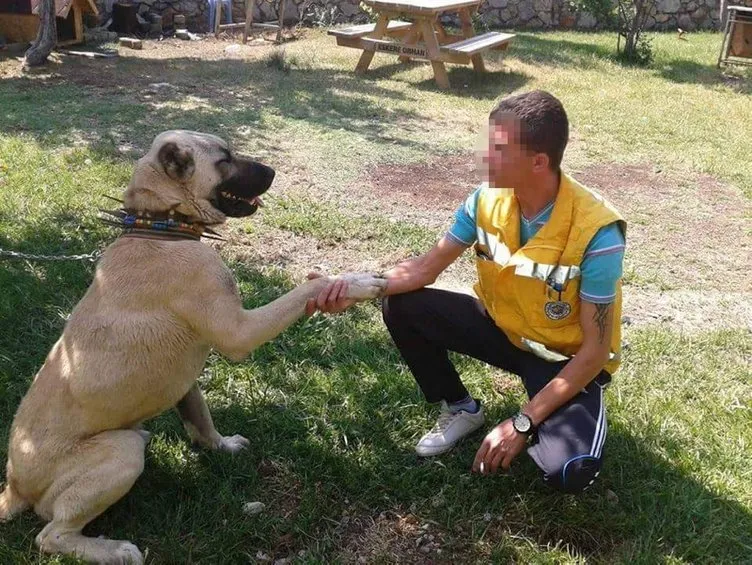 Denizli'deki korkunç olayın detayları ortaya çıktı! Dikkat çeken tabela