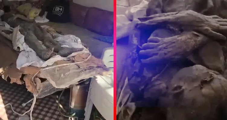 Definecilere Jandarma’dan profesör tuzağı! Soruşturmada çarpıcı detaylar: Mumyayı görünce şoka girdim