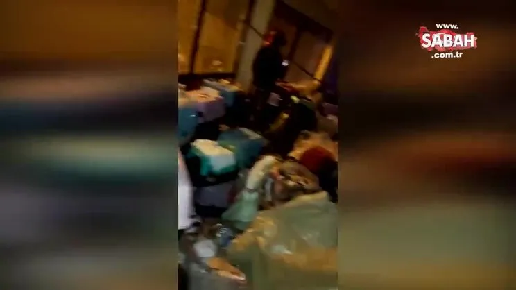 İstanbul'da kedi operasyonu! 57 kedi böyle kurtarıldı | Video