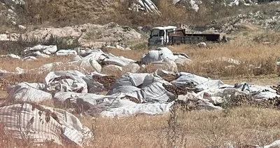 Çürüyen patatesler doğaya atılıyor, çevre alarm veriyor #nevsehir