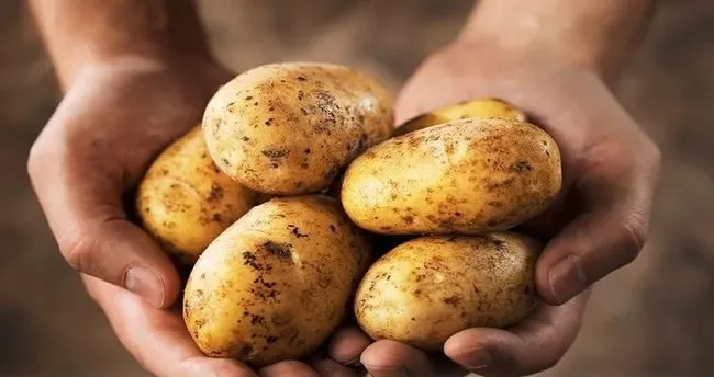 Diyette Patates Yenir Mi? Diyet Yaparken Fırında ve Haşlanmış Patates Kilo Yapar Mı?
