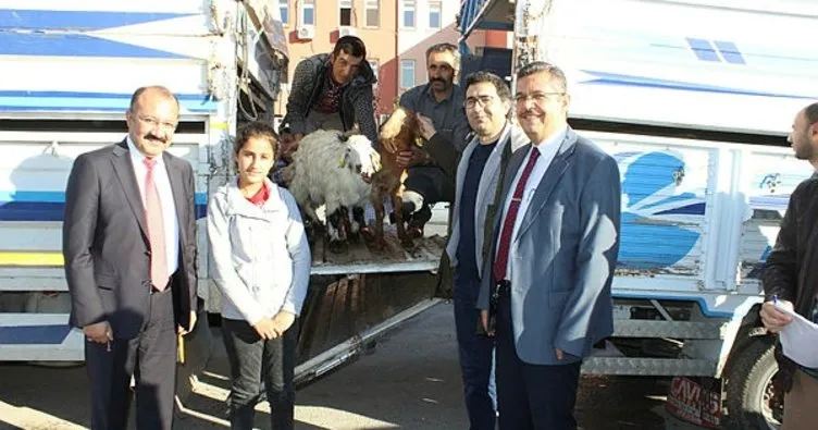 Karaman’da genç çiftçilere keçileri teslim edildi