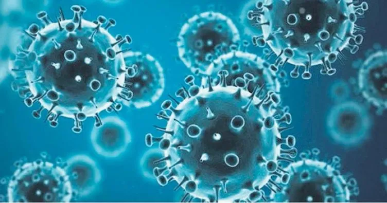 Türkiye’de iki grip virüsü aynı anda aktif