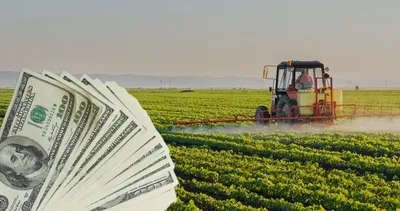 Çiftçileri sevindirecek haber! 50 milyon dolarlık destek...