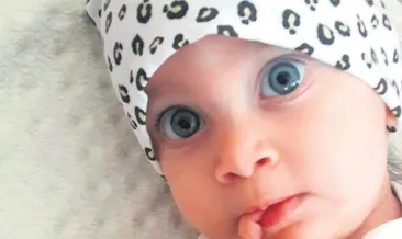 Giresunlular Güneş için seferber