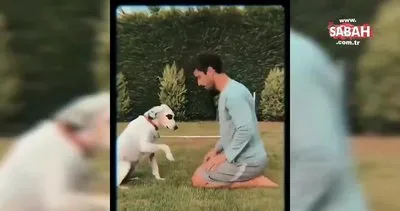 Hadise, sevgilisi Kaan Yıldırım’ın köpeği Benek’i çok sevdi | Video