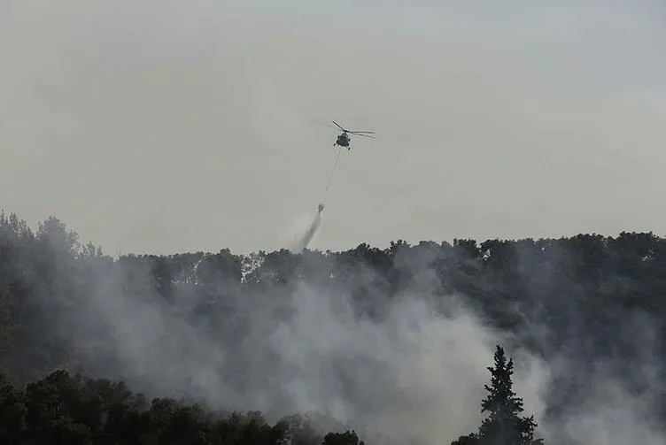 Muğla’da Milas-Bodrum Havalimanı yolunda yangın! Yerleşim alanları tehdit altında: Tahliyeler başladı