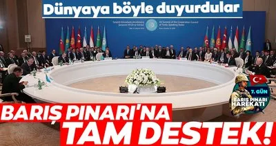 Türk Konseyinden Barış Pınarı Harekatı’na destek
