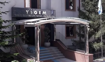 TİGEM 60 bin kilogram yapağı satacak