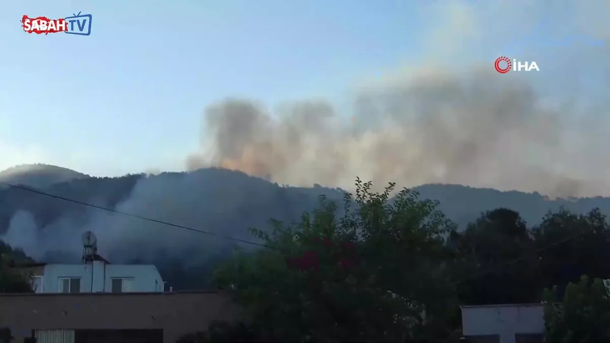Hatay’da orman yangınına havadan müdahale yeniden başladı | Video