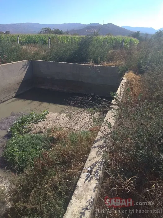 İzmir Büyükşehir Belediyesi’ne çevre kirliliği cezası! Toplam 4 milyon TL