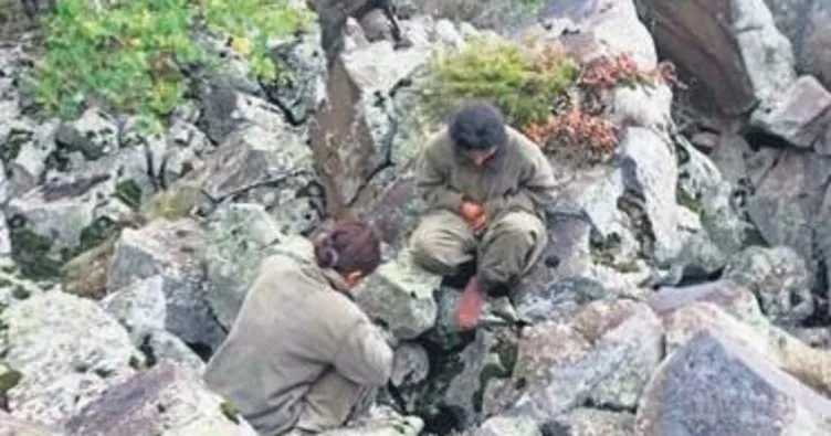 PKK’lı 2 kadın terörist ikna timlerine teslim oldu