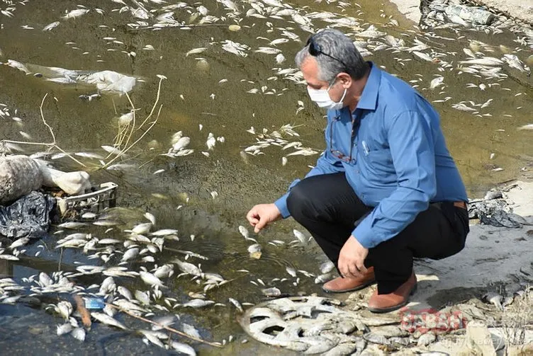 Aydın’da sulama kanalındaki toplu balık ölümlerine ilişkin inceleme başlatıldı