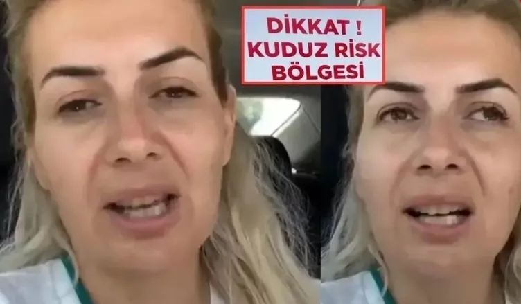 Köpekvelisi Buket Özgünlü davasında MASAK raporu ortaya çıktı: Topladığı bağışları bakın neye harcamış!