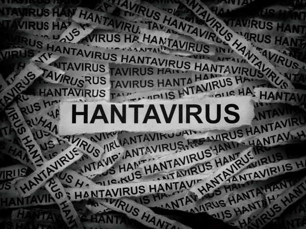 dunya-alarmda-12-ulkeye-uyari-gitti-hantavirus-yillar-sonra-yeniden-gundemde-ozel-bir-tedavisi-yok-1778305633515.jpg