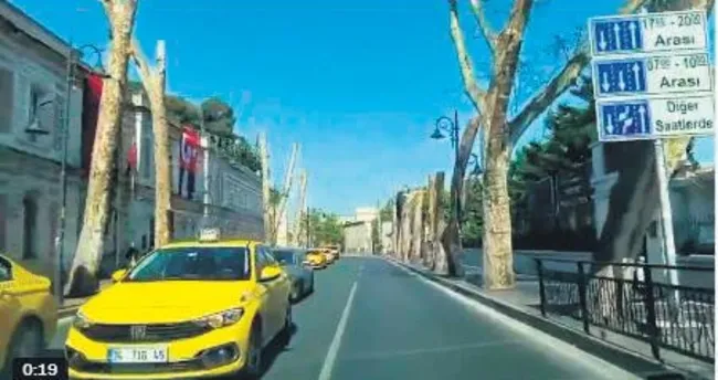 Tarihi çınarlar ölüme terk edildi