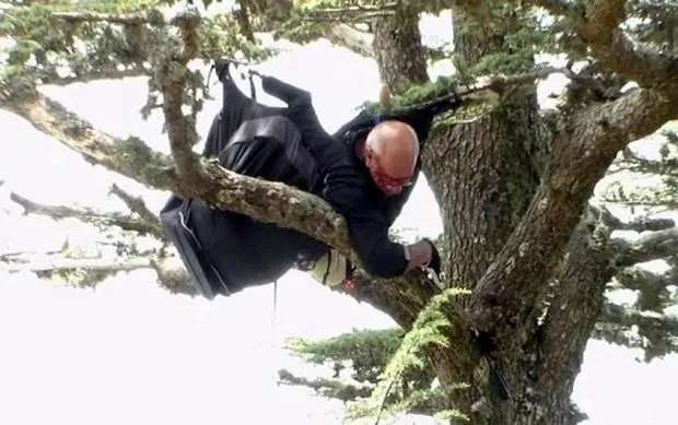 Alman paraşütçünün hayatını ağaç kurtardı!