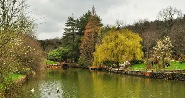 Şamlar Tabiat Parkı Giriş Ücreti - Şamlar Tabiat Parkı Nerede, Nasıl Gidilir, Kamp Alanı Giriş Ücreti Ne Kadar?