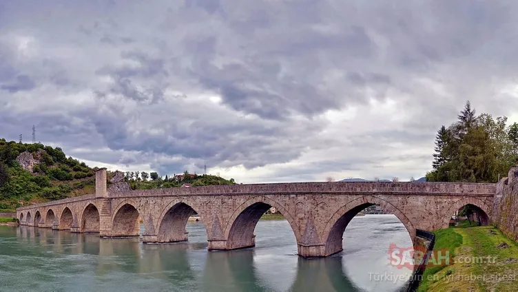 Büyük usta 529 yaşında!