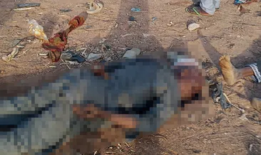 Nijerya kana bulandı: 170 kişi katledildi