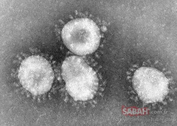 Corona virüsü mutasyona uğradı mı? SARS-CoV-2 genomu incelendi ve...