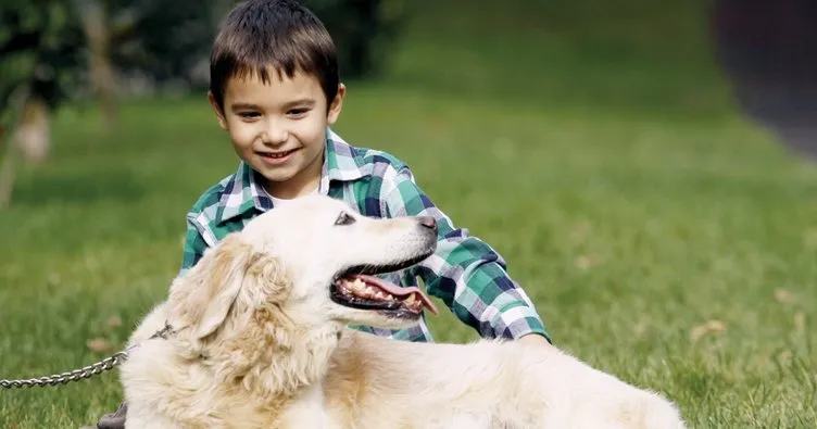 cocuklu bir evde hayvan beslemek icin