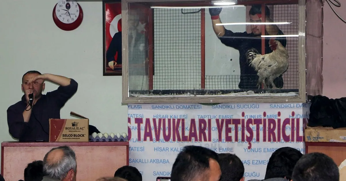 Afyonkarahisar Da 2 Bin Liraya Kanatli Hayvan Satidi Sabah Haber Ofisi